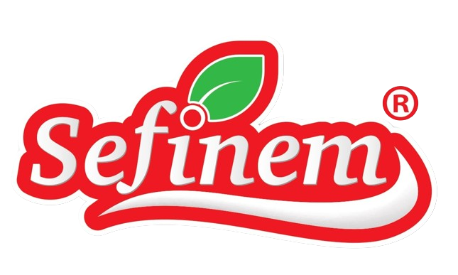 Sefinem Logo